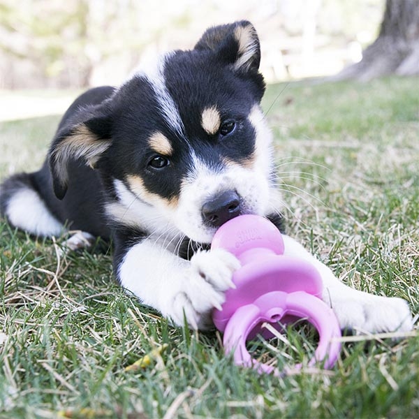 KONG Puppy Binkie Tutma Yeri Olan Yavru Köpek Oyuncağı S