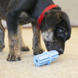 KONG Puppy Teething Stick Diş Temizliği Sağlayan Çok Amaçlı Yavru Köpek Oyuncağı L - Thumbnail