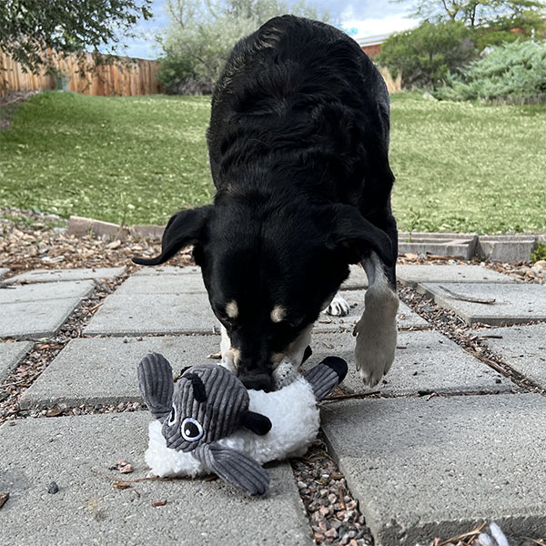 KONG Sherps Kuzu Şeklinde Peluş Köpek Oyuncağı M