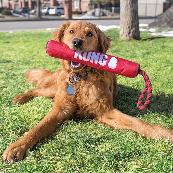 KONG Signature Stick Çubuk Şeklinde İp Detaylı Köpek Oyuncağı M