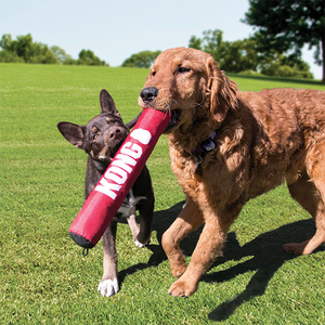 KONG Signature Stick Çubuk Şeklinde Köpek Oyuncağı L - Thumbnail