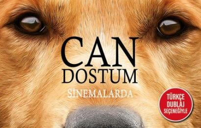 Köpeği Olanların İzlemesi Gereken Filmler