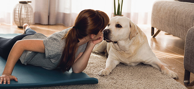 Köpeğinizi Sağlıklı Şekilde Nasıl Şişmanlatırsınız?