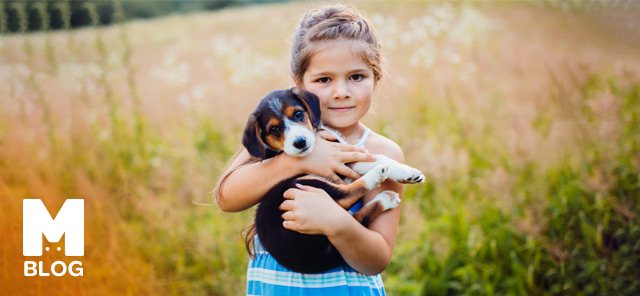 Köpek Yavrusuna Ne Denir?