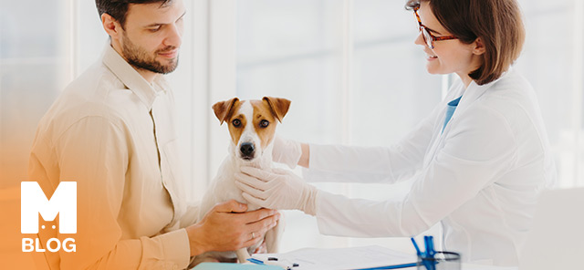 Köpekler Neden Kusar?