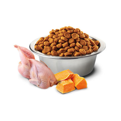 N&D Bal Kabaklı Bıldırcınlı Kedi Maması 1.5 Kg