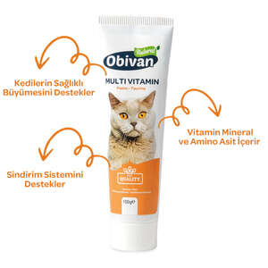 Obivan Multivitamin Kedi Maltı 100 GR