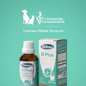 Obivan Tüy Sağlığını Destekleyici Kediler İçin Multivitamin Damla 50 ML - Thumbnail