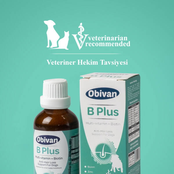 Obivan Tüy Sağlığını Destekleyici Köpekler İçin Multivitamin Damla