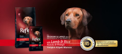 Reflex Plus Kuzulu & Pirinçli Yaşlı Köpek Maması 15 KG - Thumbnail