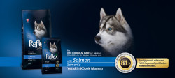 Reflex Plus Somon Balıklı Köpek Maması 15 KG - Thumbnail