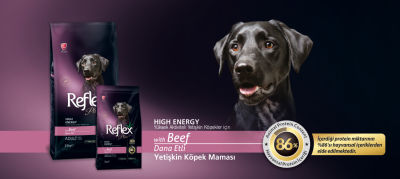 Reflex Plus High Energy Biftekli Köpek Maması 15 KG