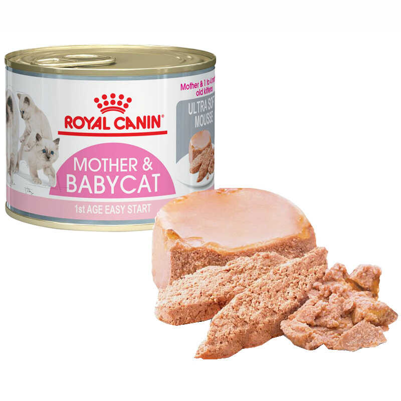 Royal canin 2024 baby cat instinctive