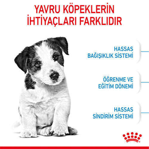 Royal Canin Box Mini Puppy Yavru Köpek Maması 2 Kg + 2 Adet Mini Puppy Yaş Mama Hediyeli - Thumbnail