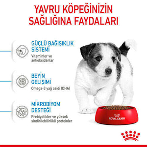 Royal Canin Box Mini Puppy Yavru Köpek Maması 2 Kg + 2 Adet Mini Puppy Yaş Mama Hediyeli - Thumbnail