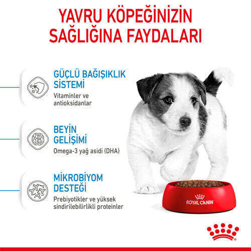 Royal Canin Box Mini Puppy Yavru Köpek Maması 2 Kg + 2 Adet Mini Puppy Yaş Mama Hediyeli