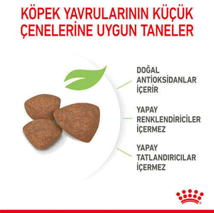 Royal Canin Box Mini Puppy Yavru Köpek Maması 2 Kg + 2 Adet Mini Puppy Yaş Mama Hediyeli - Thumbnail