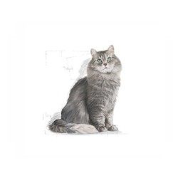 Royal Canin Sensible Kedi Maması 15 KG - 2