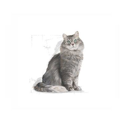 Royal Canin Sensible Kedi Maması 15 KG - 2