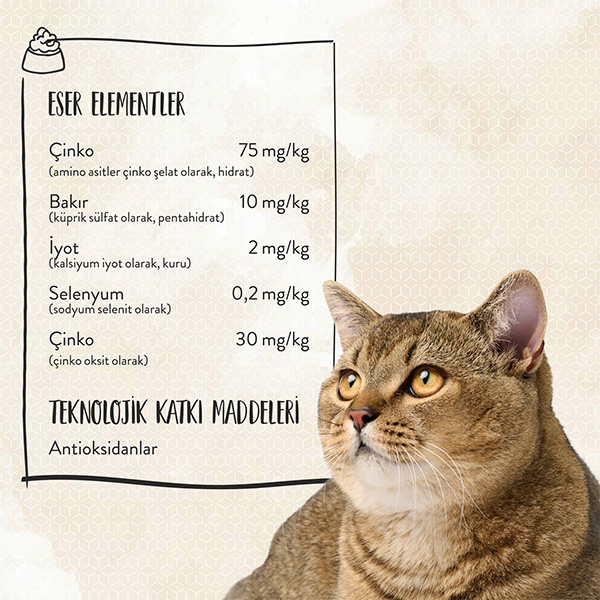 Sanabelle Hair Skin Tavuklu Kedi Maması 10 kg