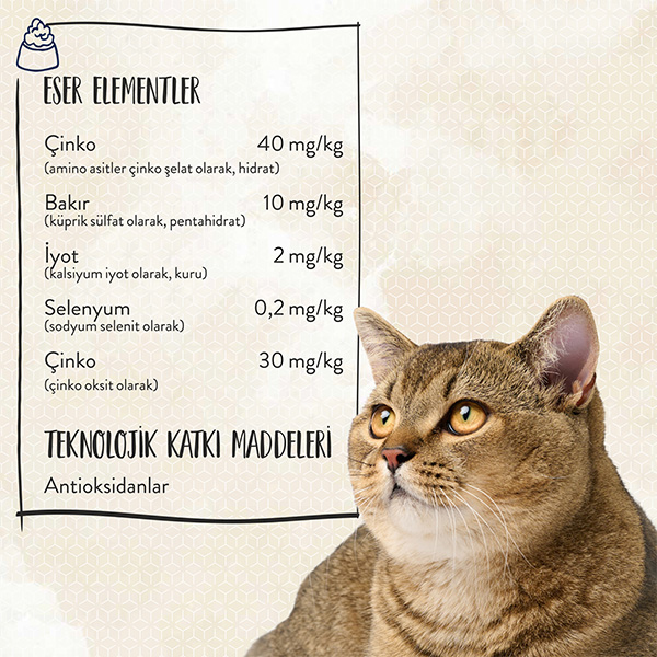 Sanabelle Glutensiz Balıklı Yetişkin Kedi Maması 2 kg - 5