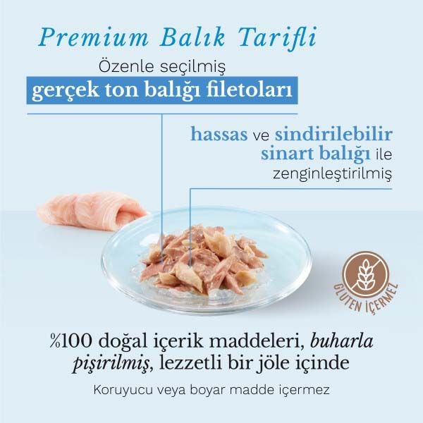 Schesir Ton ve Dentex Balıklı Kedi Konservesi 85 Gr