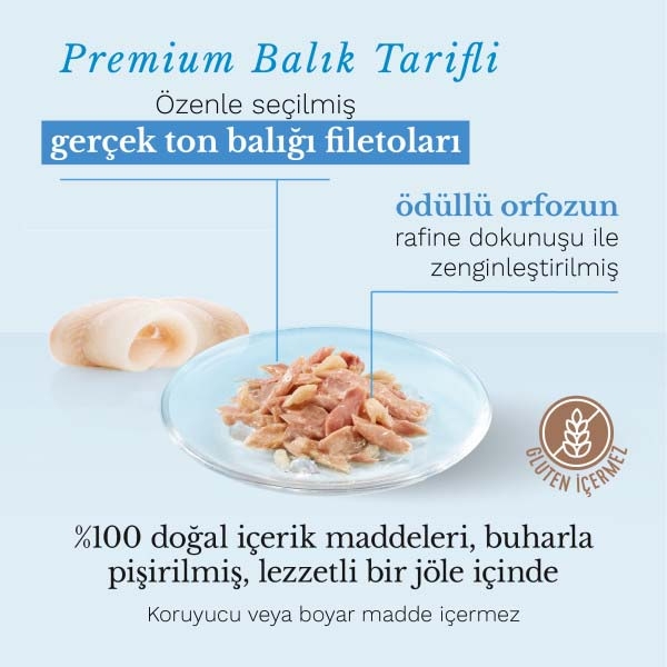 Schesir Ton ve Orfoz Balıklı Kedi Konservesi 85 Gr