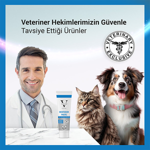 Vetcure Dentodor Kedi ve Köpek Ağız Kokusu Giderme ve Tartar Desteği Paste 100 gr - Thumbnail