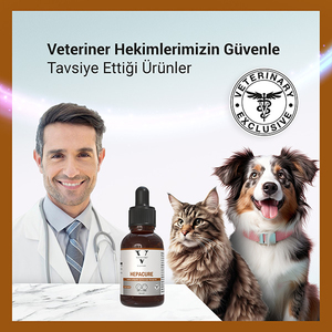 Vetcure Hepacure Kedi ve Köpek Karaciğer Sağlığı Destekleyici Likit 50 ML - Thumbnail