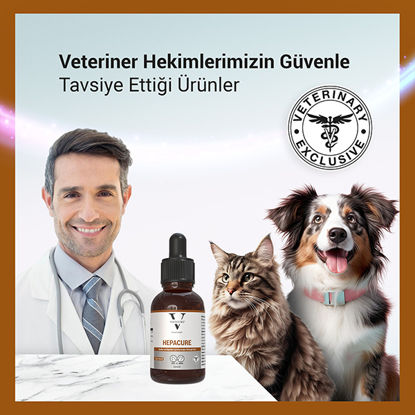 Vetcure Hepacure Kedi ve Köpek Karaciğer Sağlığı Destekleyici Likit 50 ML