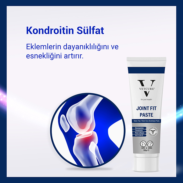 Vetcure Joint Fit Kedi ve Köpek Eklem ve Kas Destekleyici Paste 100 gr