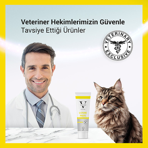 Vetcure L-Lysine Kedi Bağışıklık ve Solunum Yolu Destekleyici Paste 100 gr - Thumbnail