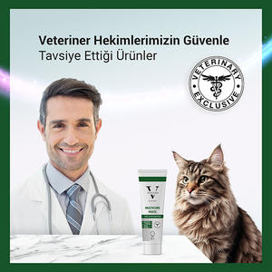 Vetcure Multicure Kedi Multivitamin ve Mineral Desteği Paste 100 gr - Thumbnail