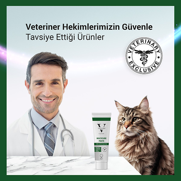 Vetcure Multicure Kedi Multivitamin ve Mineral Desteği Paste 100 gr