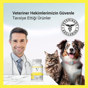 Vetcure Urinary Kedi ve Köpek Akut ve Kronik İdrar Yolu Sağlığı Destekleyici 60 Tablet - Thumbnail